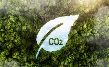 Photo d'une forêt et une image décorative représentant une feuille et le texte CO2.